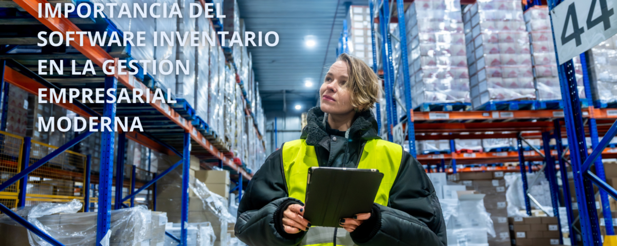 Software inventario para control de stock en almacenes y gestión empresarial eficiente
