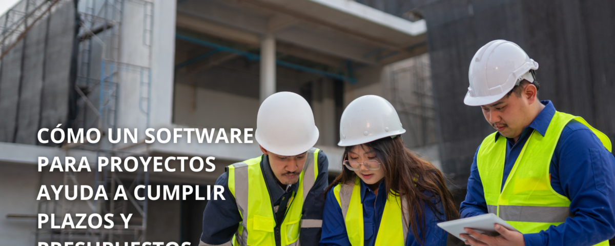Software Para Proyectos para gestionar plazos y presupuestos
